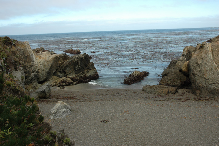 Point Lobos 018.jpg